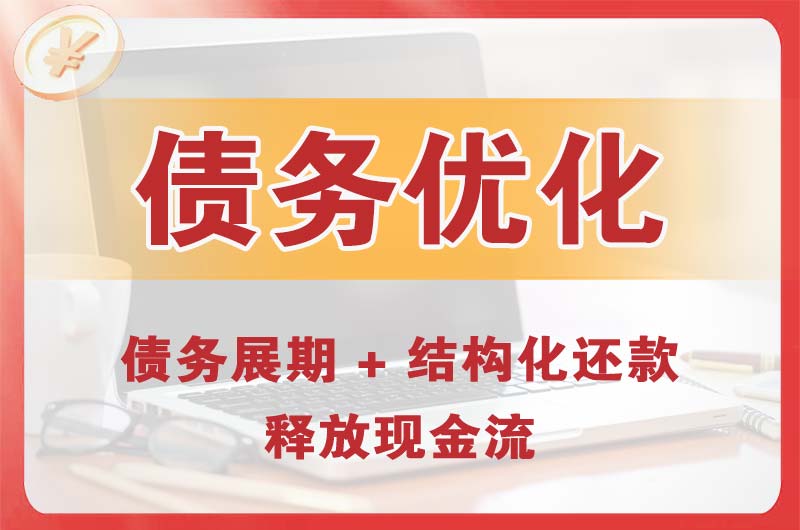 绿园债务优化